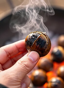 Close Of Human Hand Holding Chestnut Roasted As Evidenced By Darkened Charred Surface Rising Smoke Suggesting Hot Freshly Cooked