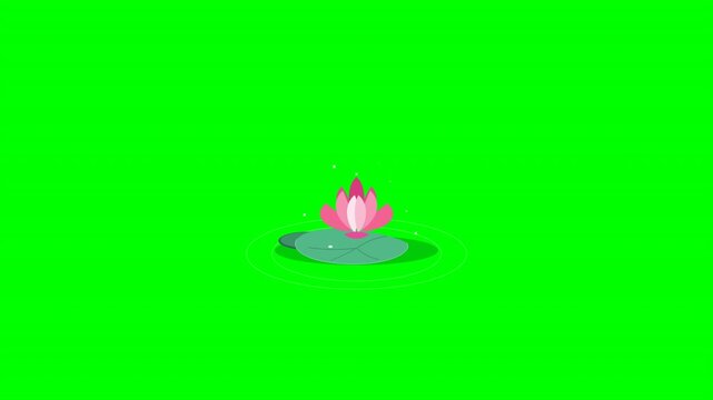 Stylized pink lotus flowers on lily pads arranged in a grid over a bright green screen background. Ideal for meditation videos or mindfulness apps.