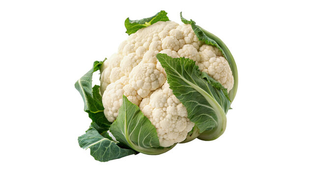 Fresh raw green and white cauliflower head vegetable, isolated on transparent background.