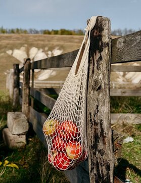 Side view of a mesh net bag filled with red apples hanging on a rustic wooden fence in a rural landscape.