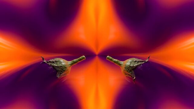Eggplant parts creating a symmetrical pattern forming a glowing tunnel in shades of purple and orange.