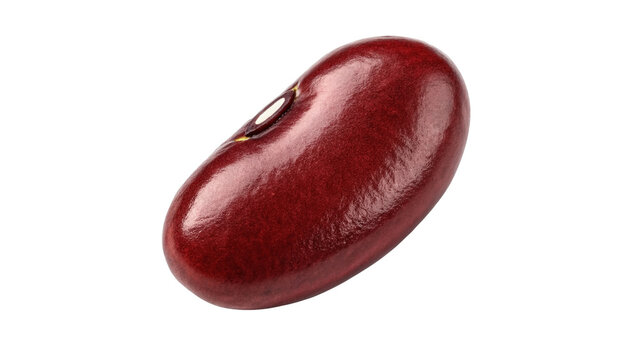 Single raw red kidney bean seed high protein legume ingredient, isolated on transparent background.