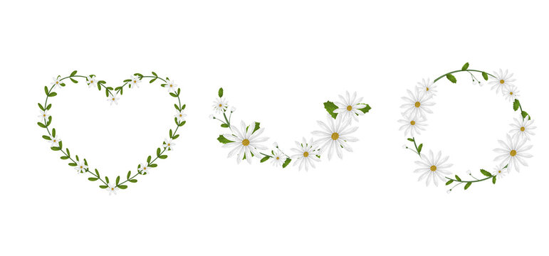 Floral daisy wreaths and heart frame set, white chamomile flower borders with green leaves, botanical spring elements for wedding invitations