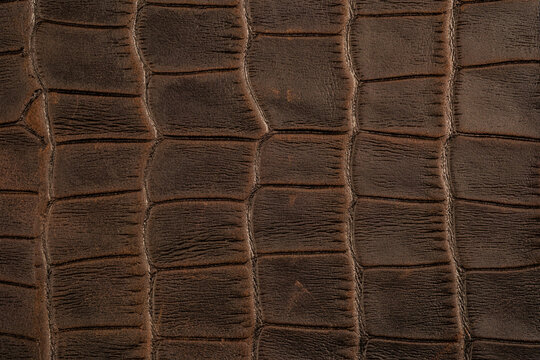 Brown leather texture close up, reptile skin surface pattern with matte abstract texture
