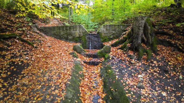 Small stream flowing through a stone drainage structure in a lush forest during autumn. Orange and yellow fallen leaves cover the ground, while moss-covered rocks and tree roots create a natural woodl