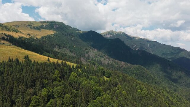 Sunlit Meadow Edge Facing Rugged Bucegi Peaks
