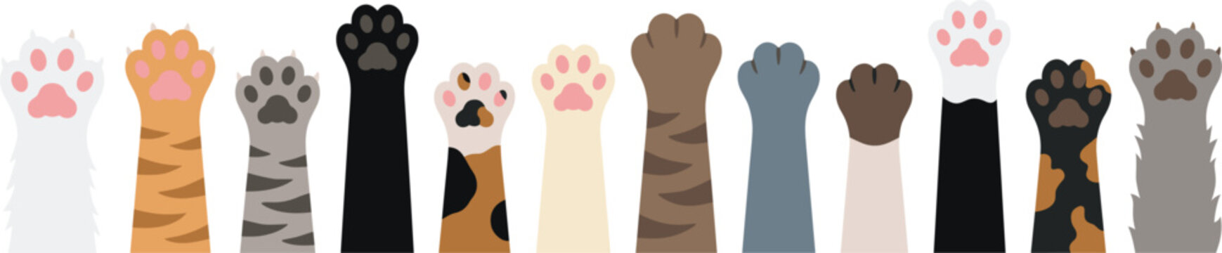 Vector cartoon illustration set of cute colorful cat paws up border