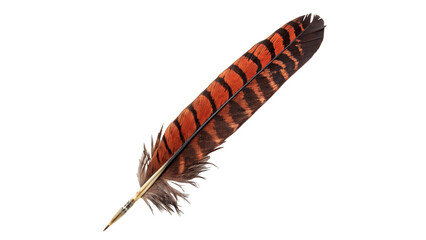 Single beautiful exotic orange and black striped patterned bird feather plume, isolated on transparent background. © Fletcher-photo