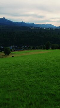 Fast aerial drone shot over green fields towards mountain village
