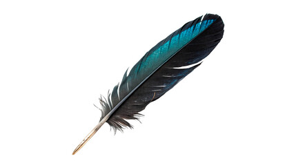 Beautiful exotic dark blue and green striped patterned bird feather plume, isolated on transparent background. © Oliver Plaza Photo