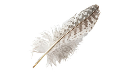 Single beautiful soft fluffy white bird feather plume delicate texture graphic asset, isolated on transparent background. © Daniel