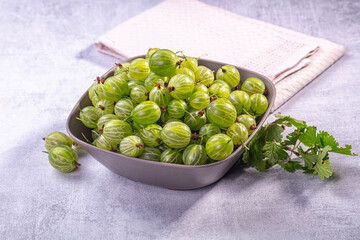 Fresh green gooseberries in gray bowl with leafy branch on textured surface © Andrei Starostin