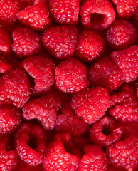 Fresh ripe red raspberry berries close up textured background © Анжелика Мельничук