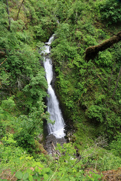 Green landscape with Starvation Creek Falls, Oregon