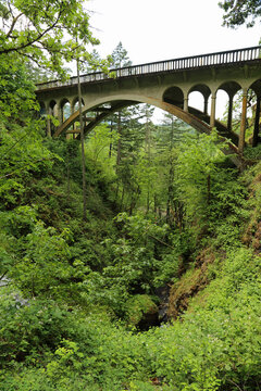 Shepperd's Dell Bridge vertical, Oregon