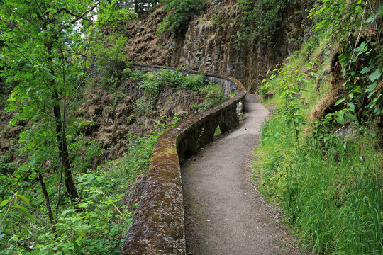 Path in state park - Oregon