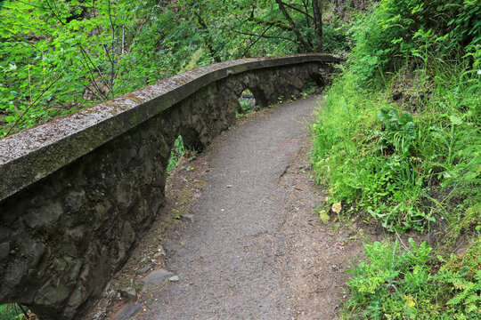 The trail and stone wall - Oregon