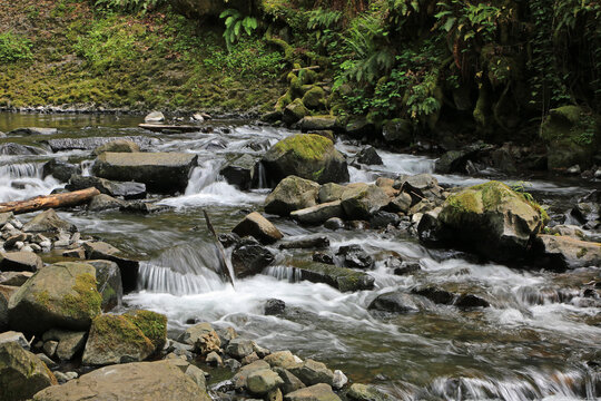Bridal Veil Creek - Oregon