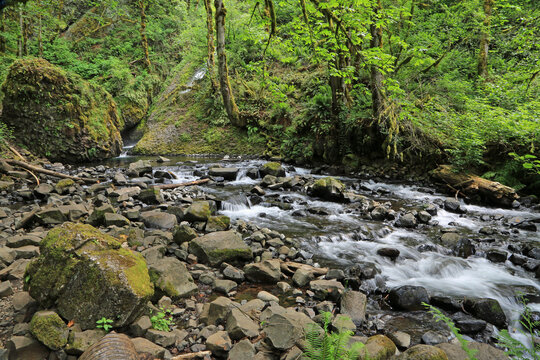 Rocky riverbed - Bridal Veil Creek - Oregon