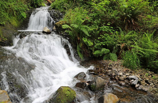 Shepperd's Dell Falls, Oregon