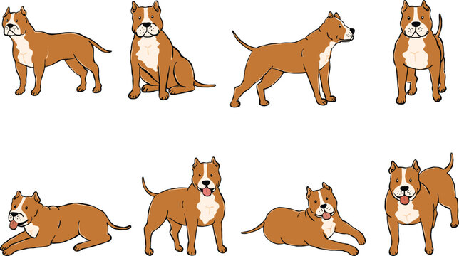 Cute cartoon Pit bull dog character illustration set featuring eight different posses including standing, sitting and lying down.