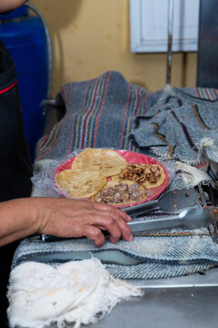 Female Hands Preparing Tacos at a Mexican Street Taqueria