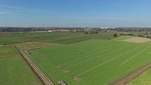 Aerial Drone Flight Over Hay Bales in a Harvested Agricultural Field in Lombardy, Italy