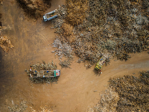 Aerial view of a lumber yard with piles of logs, timber, and trucks being loaded by workers in Boyolali, Central Java, Indonesia.