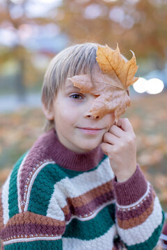 Cute child in the park autumn time