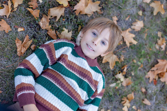 Cute child in the park autumn time