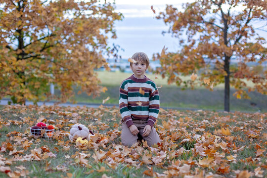 Cute child in the park autumn time