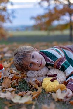 Cute child in the park autumn time