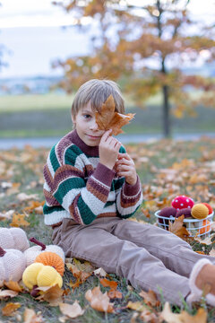 Cute child in the park autumn time