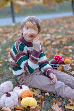 Cute child in the park autumn time