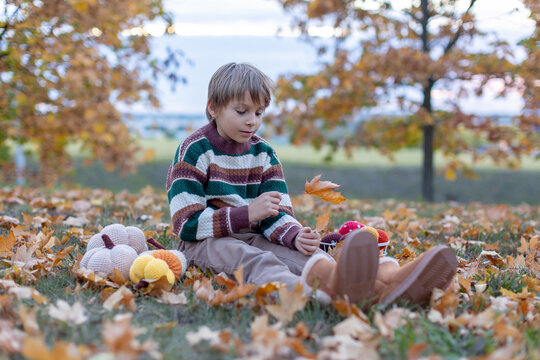Cute child in the park autumn time