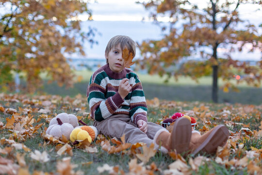 Cute child in the park autumn time