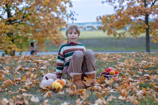 Cute child in the park autumn time
