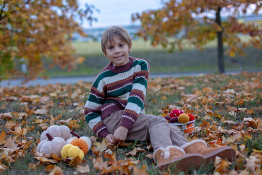 Cute child in the park autumn time