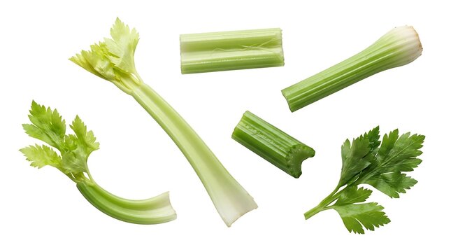 Fresh green celery stalks and leaves arranged in various pieces including whole stems and chopped sections on a white background, for healthy food concepts