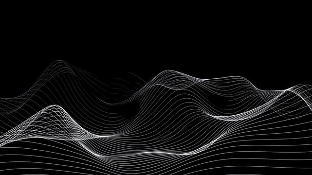 Flowing white line waves undulate across a black abstract digital field. Technology presentations, data visualization, and website design.