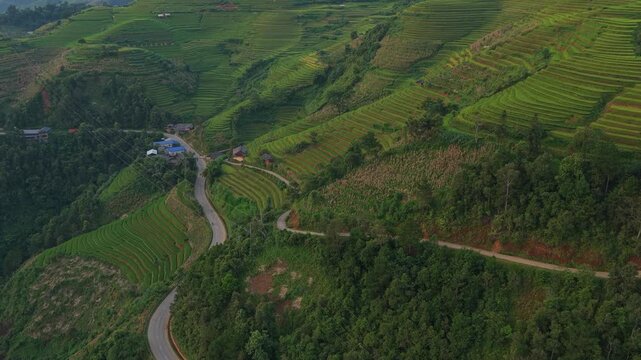 Scenic aerial view of mu cang chai rice terraces at sunset