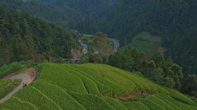 Revealing mu cang chai rice terraces valley at sunset
