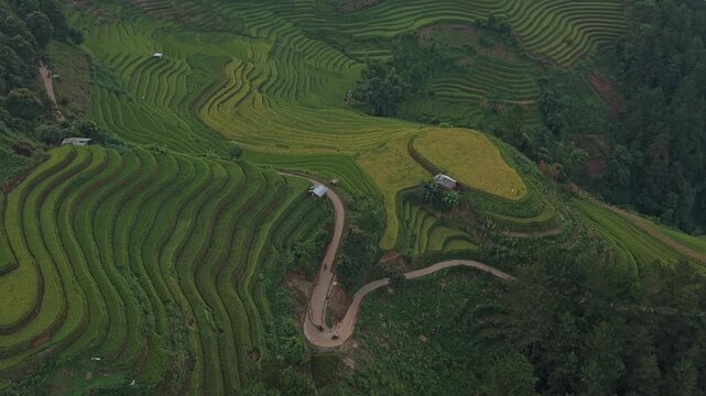 Aerial view of green rice terraces in mu cang chai, vietnam