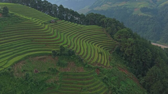 Scenic horseshoe rice terraces in mu cang chai vietnam at sunrise