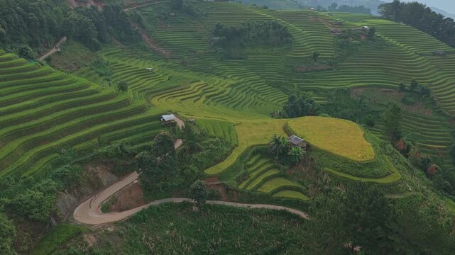 Aerial view of green rice terraces in mu cang chai, vietnam