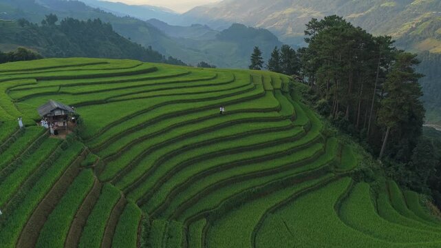Aerial view of green rice terraces in mu cang chai vietnam