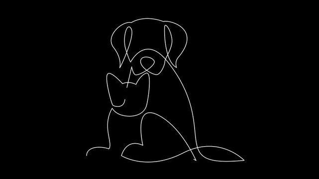 Continuous Line Art Drawing Animation of Dog and Cat - Minimalist Pet Design