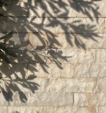 Natural beige stone wall with shadows of olive tree branches and leaves in sunlight. Mediterranean architectural background featuring rectangular stone tiles and organic shadow patterns.