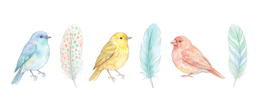Watercolor bird feather illustration set featuring colorful songbirds blue yellow pink and decorative feathers isolated on black background for nature art design project pattern clip art banner.