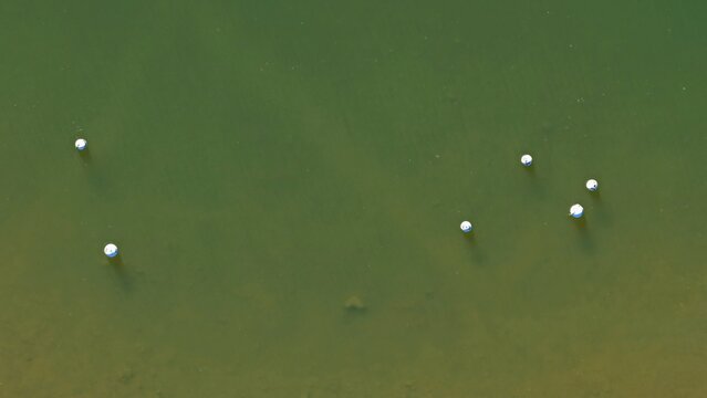 Aerial view of white buoys floating on the calm green water of Carter Lake Reservoir in Larimer County, Colorado, United States.